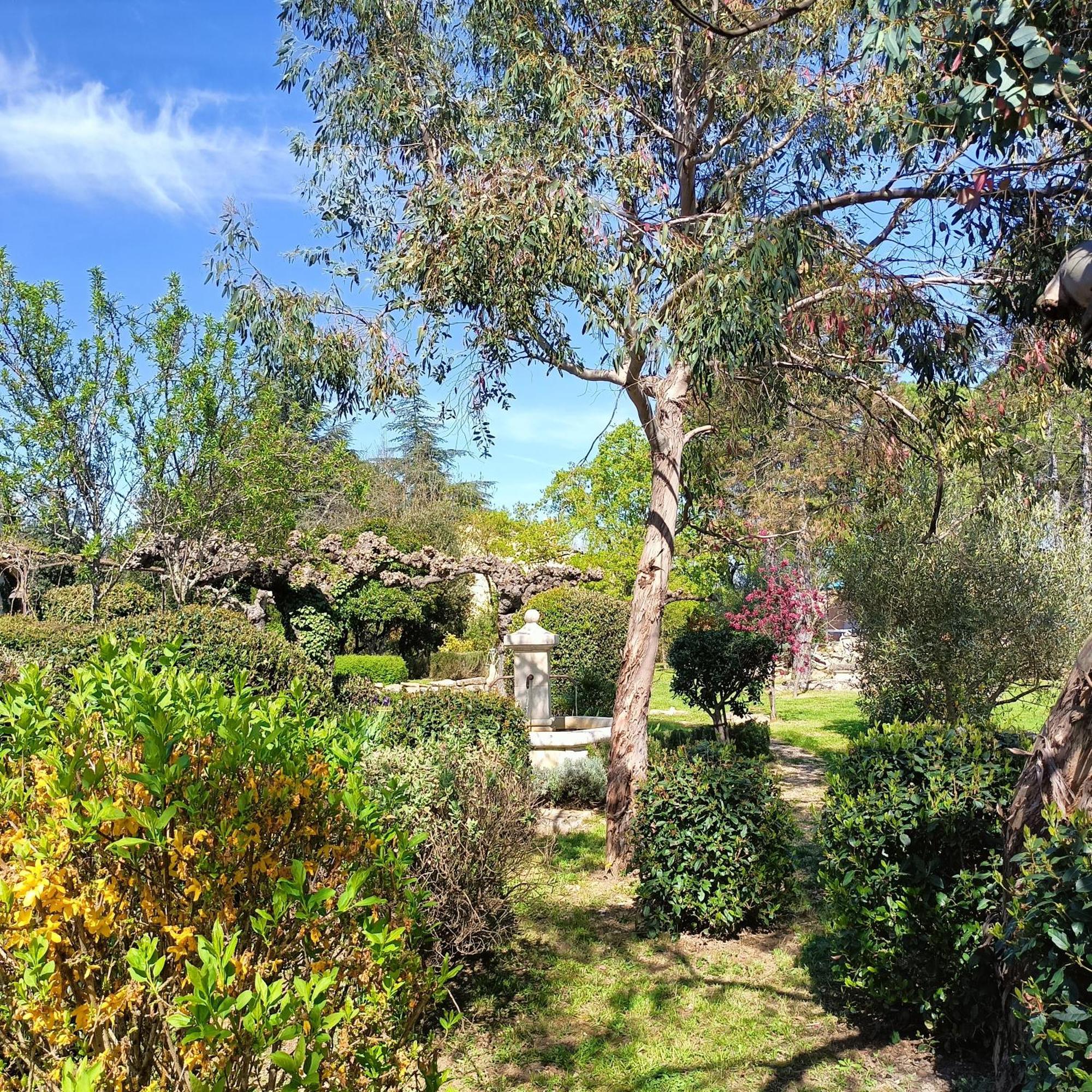 Villa L'Arbre Du Magnan Chandolas Exterior foto